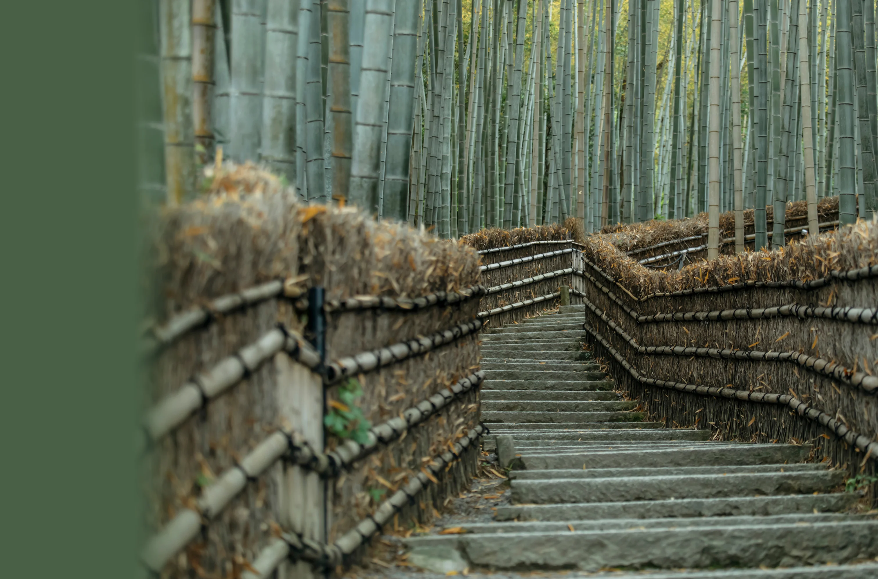 大きな竹の根っこ生活様用 大きな竹の根っこ生活様用 hqdefault.jpg 大きな竹の根っこ生活様用 大きな竹の根っこ生活様用 hqdefault.jpg