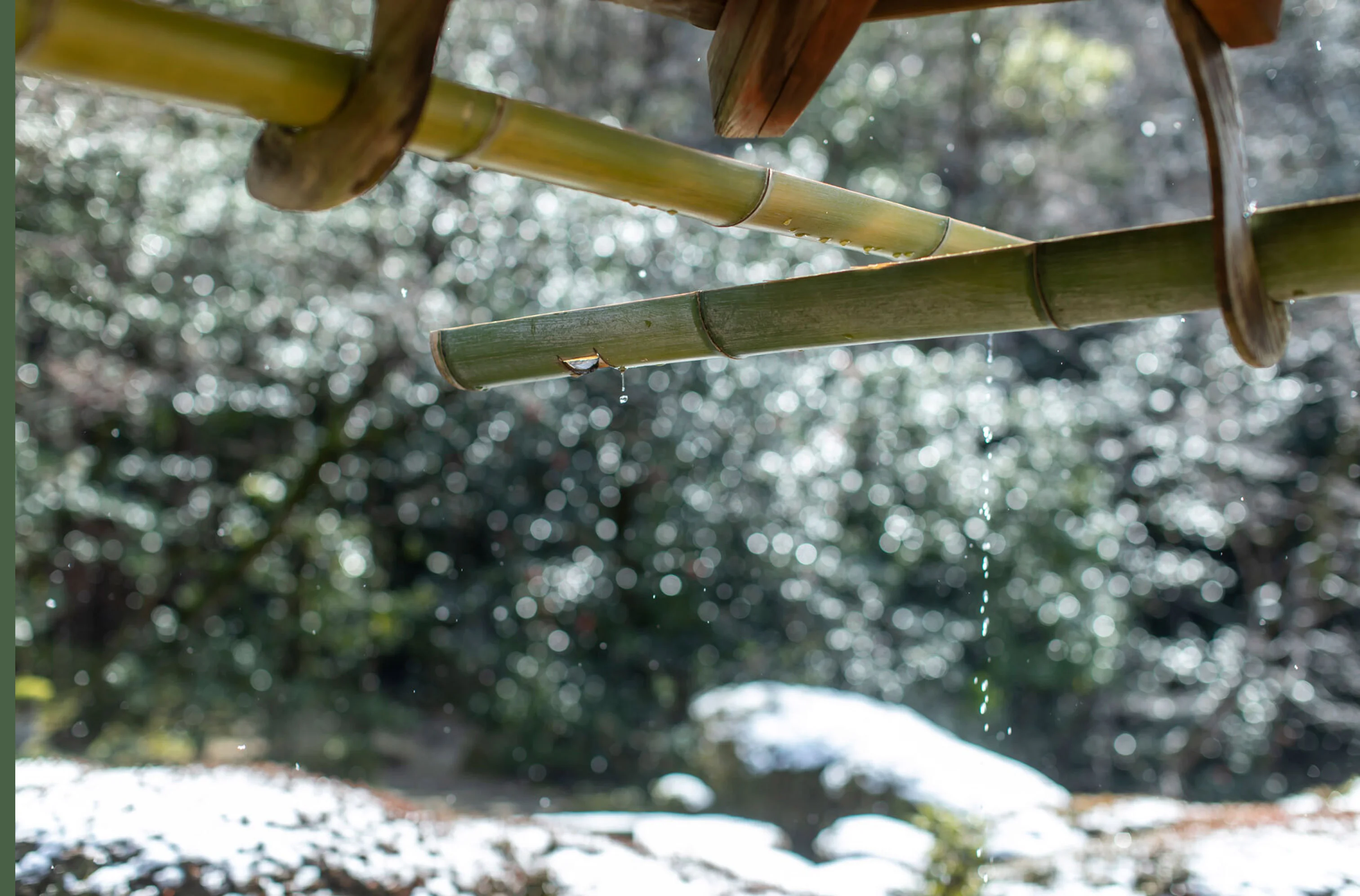 有限会社 横山竹材店|竹・竹垣・竹材卸問屋|Yokoyama Bamboo Products | 有限会社 横山竹材店|竹・竹垣・竹材卸問屋|Yokoyama Bamboo Products |