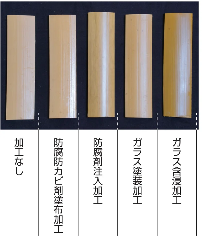 促進耐候性試験