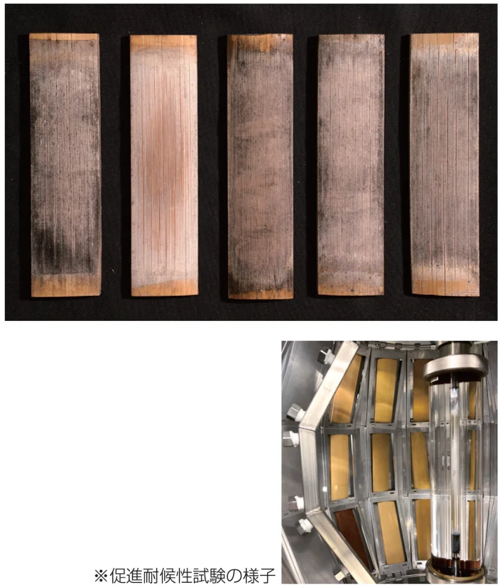 野外暴露約1.5年