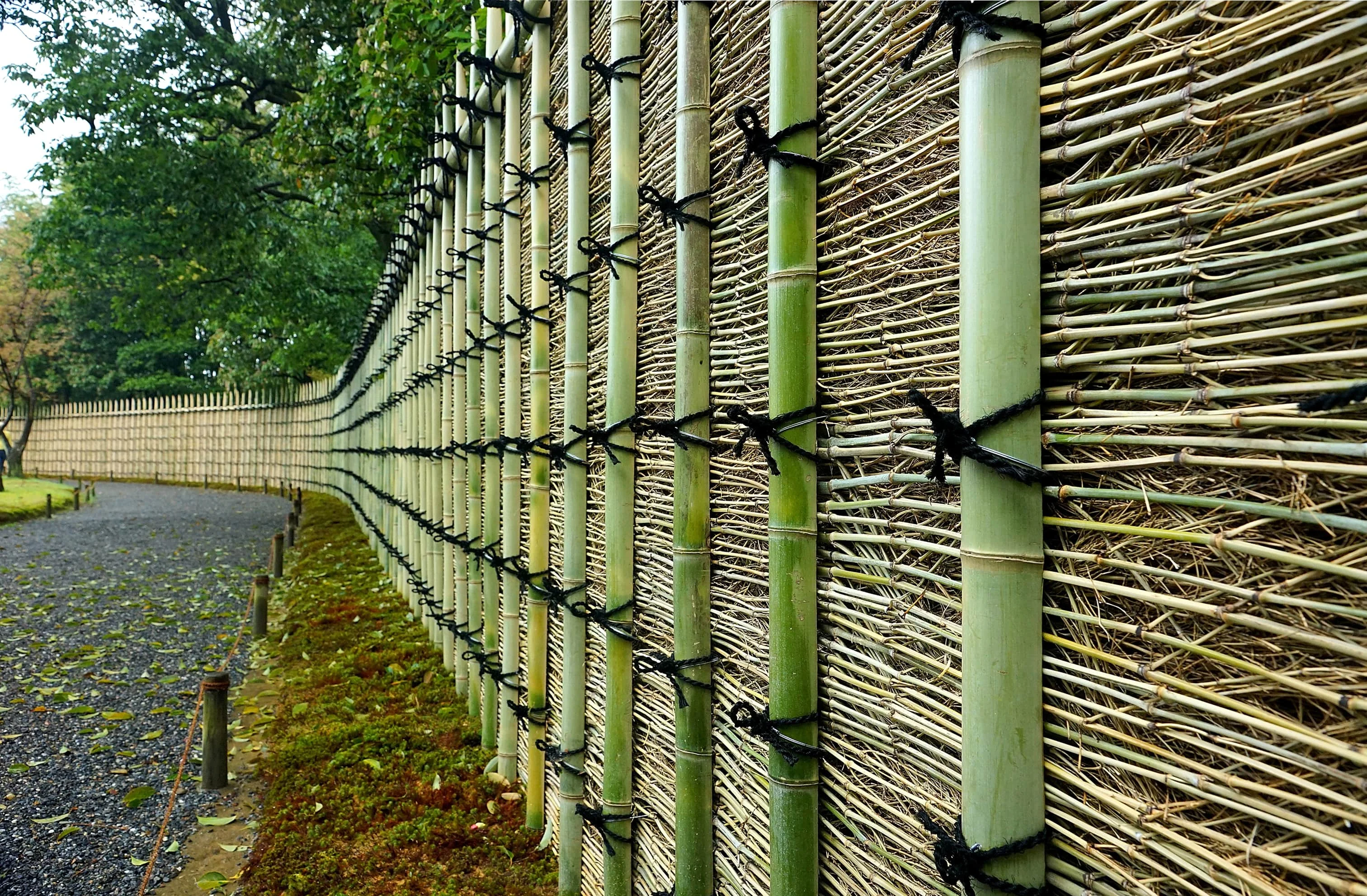 桂垣｜桂離宮 Bamboo fence｜Katsura Imperial Villa