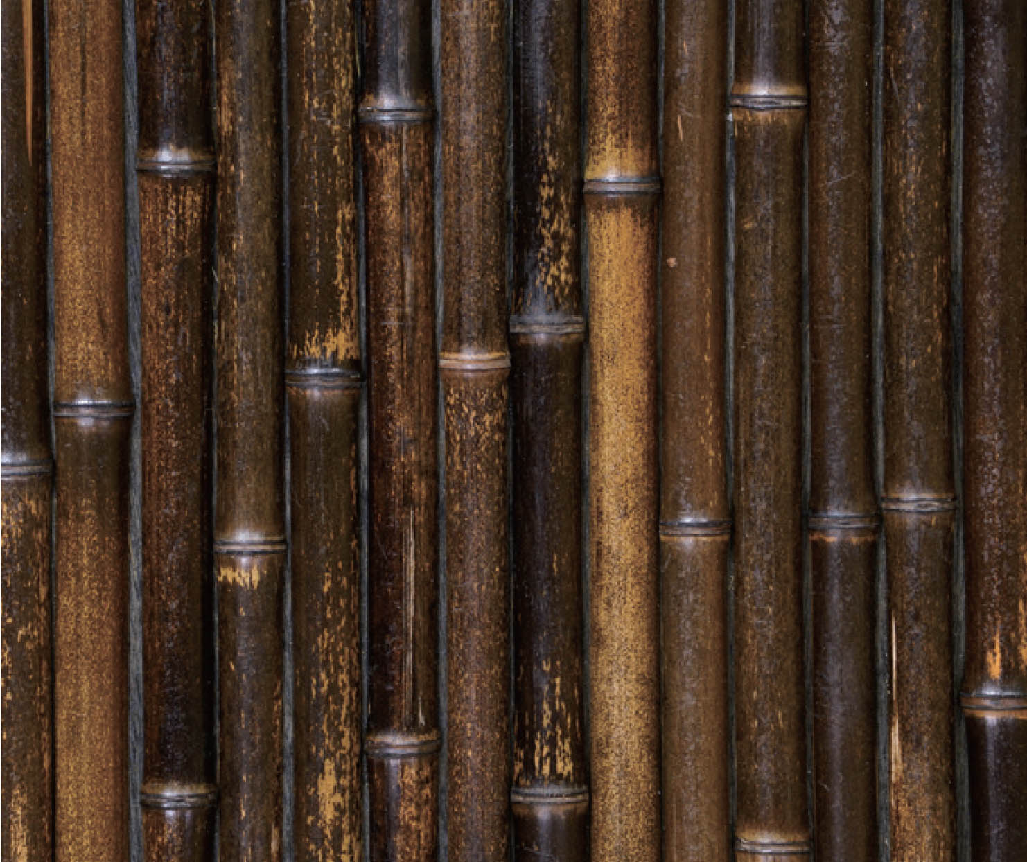 黒竹半割(上品) 竹巾21-24mm(くろちくはんわり)