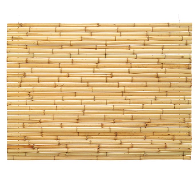 晒竹ワイヤー通し(さらしだけわいやーとおし)