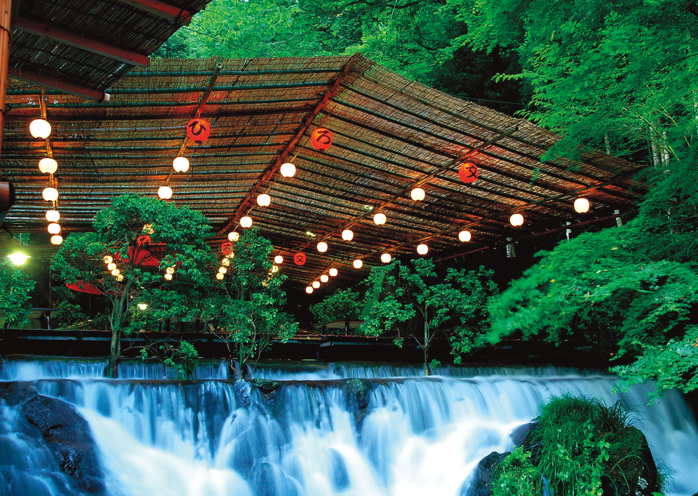 YR035 葭ず内地産