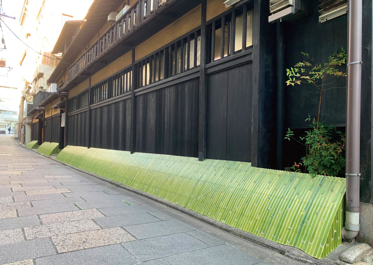 YT025 青竹犬矢来