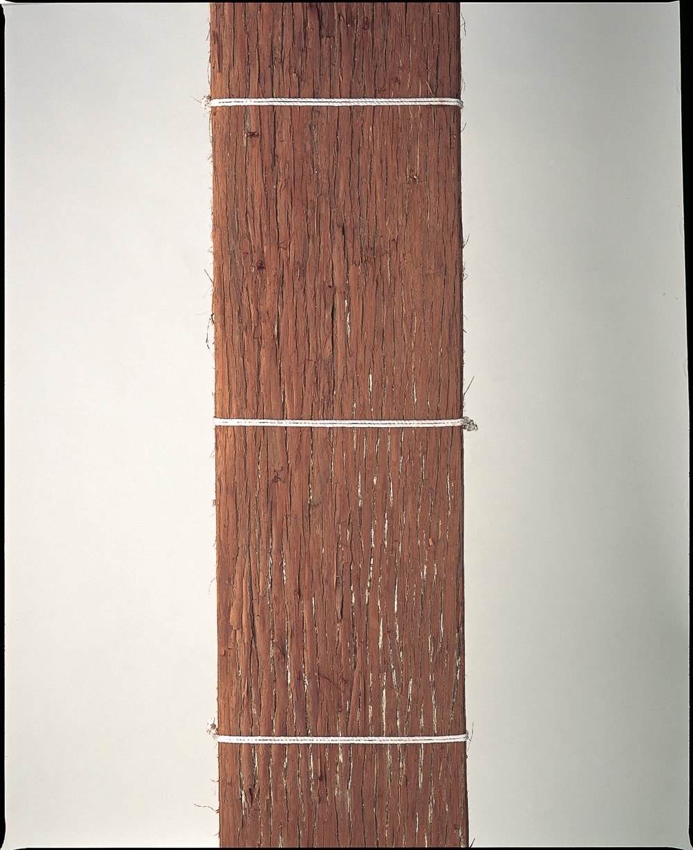 杉皮特選(すぎかわとくせん)