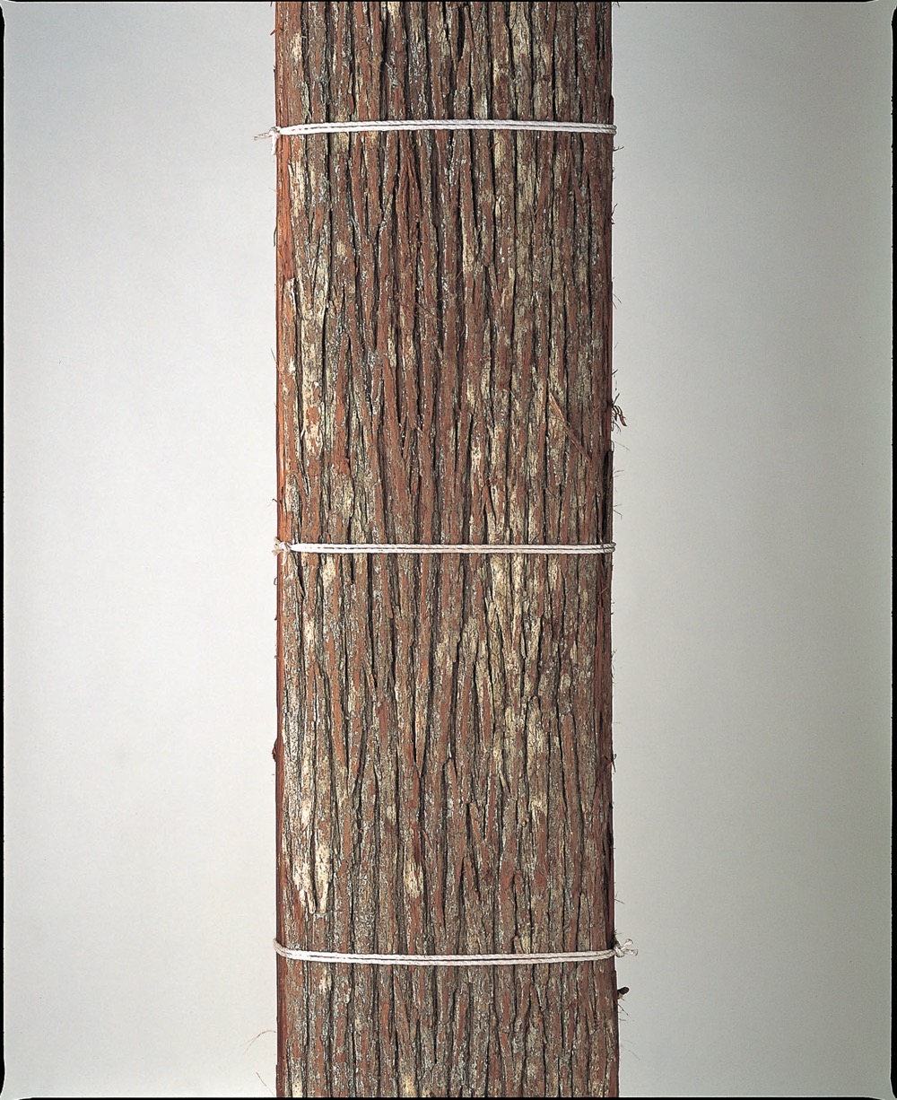 杉皮錆特選(すぎかわさびとくせん)