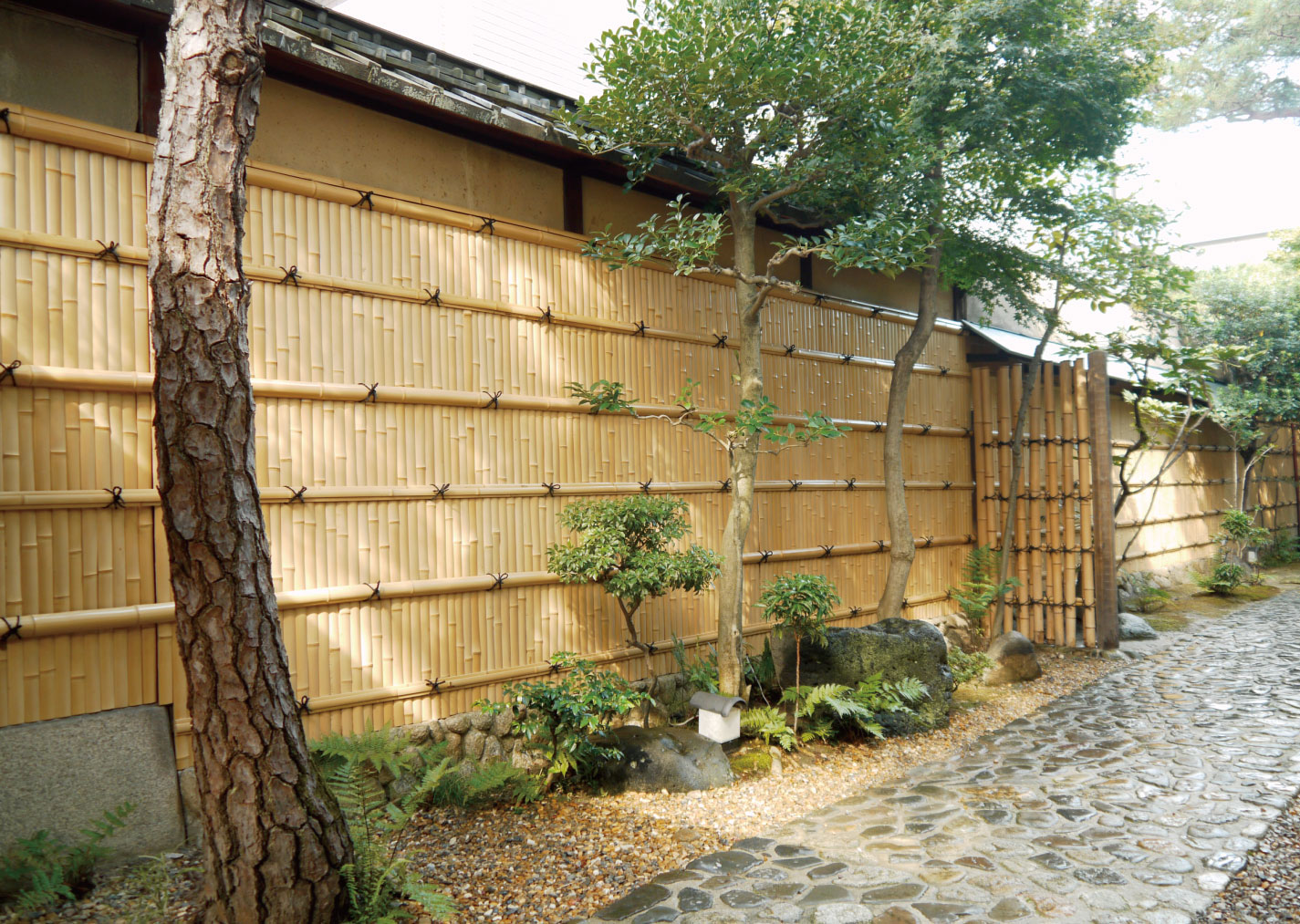 YU043 晒竹真竹建仁寺材料