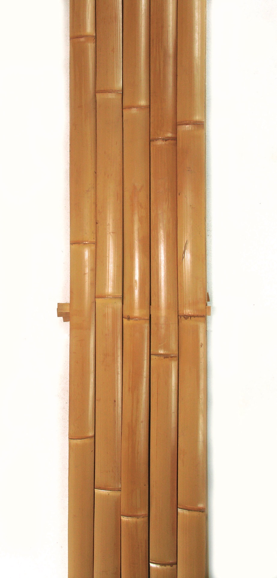 晒竹孟宗建仁寺材料(さらしだけもうそうけんにんじざいりょう)