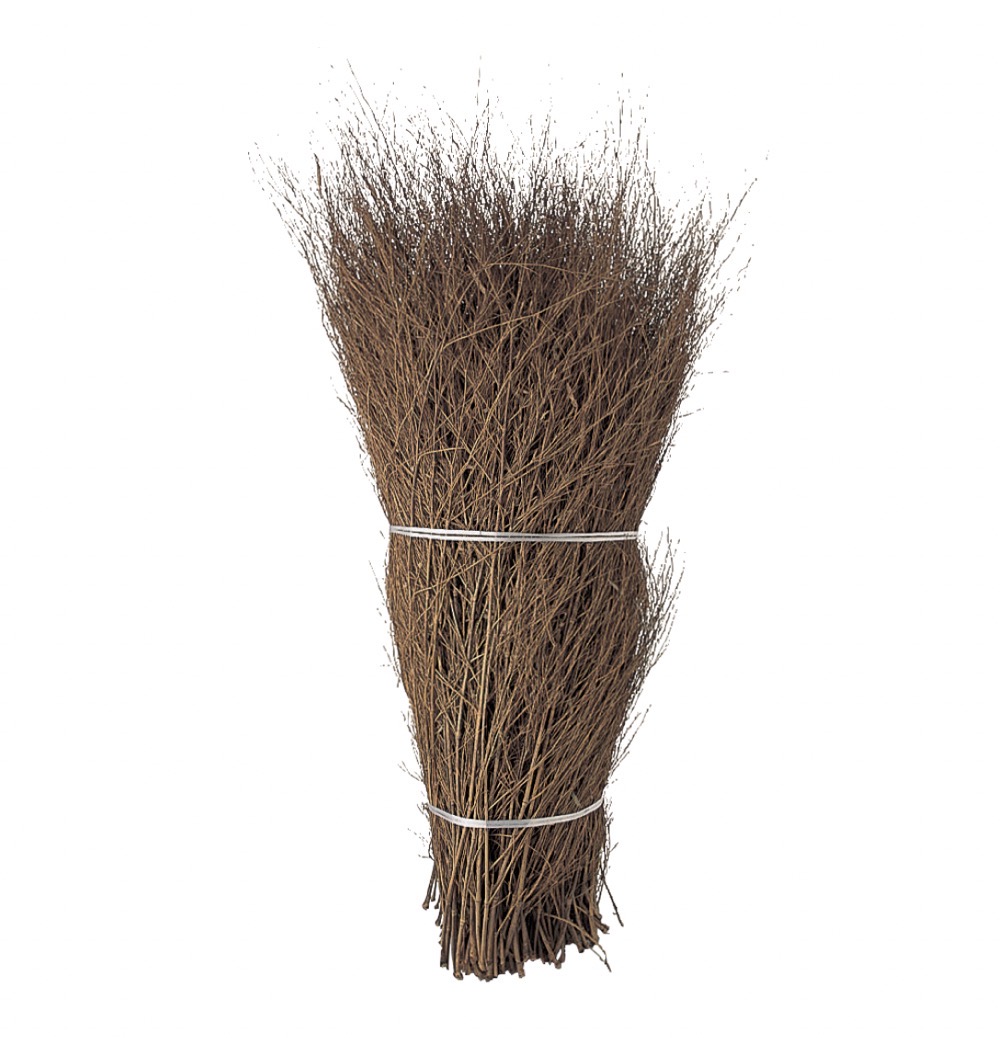 孟宗枝(もうそうえだ)