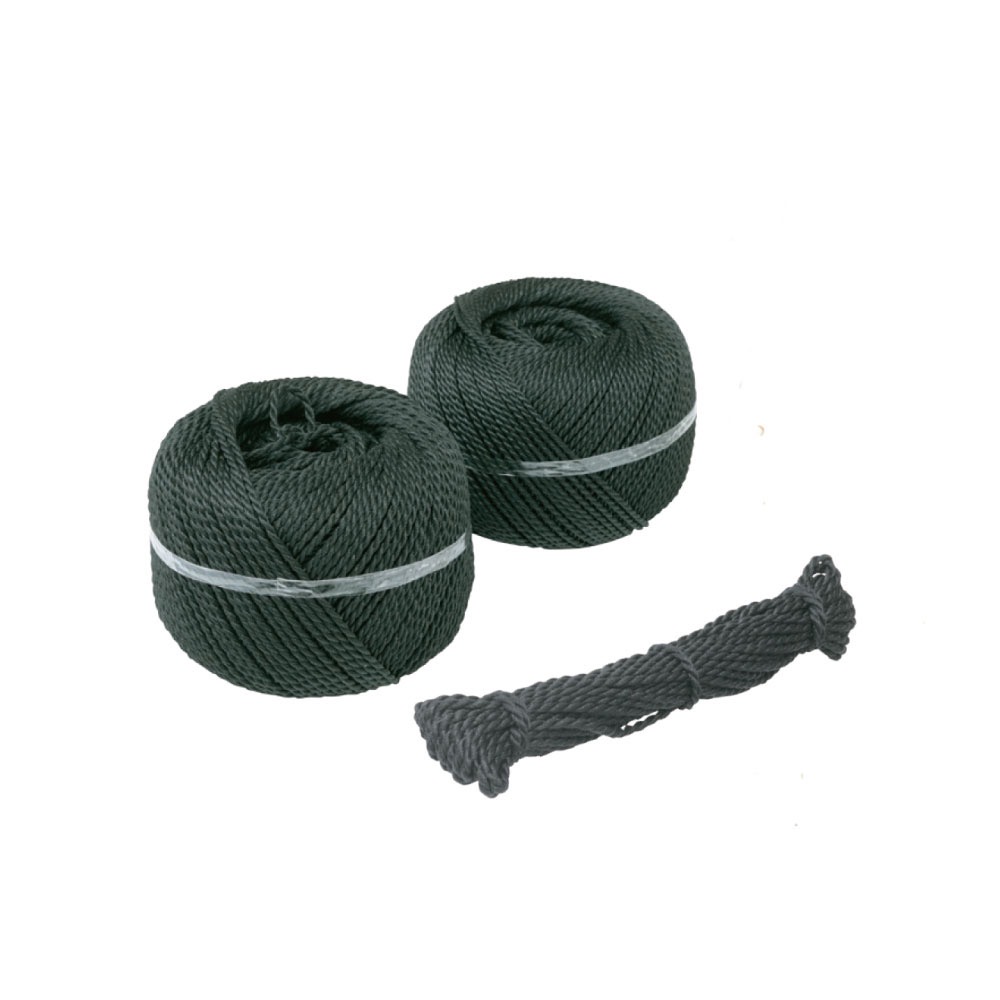 シュロタフロープ(しゅろたふろーぷ)