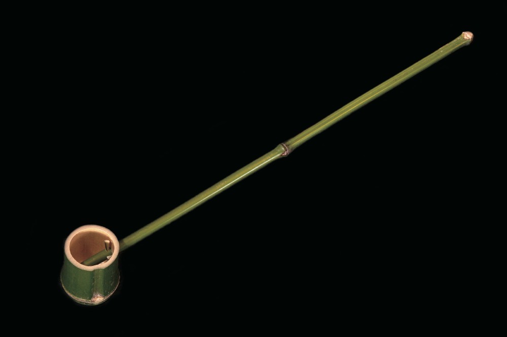 青竹杓(あおだけじゃく)