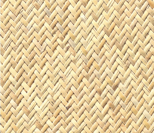 藤アジロF2(とうあじろF2)