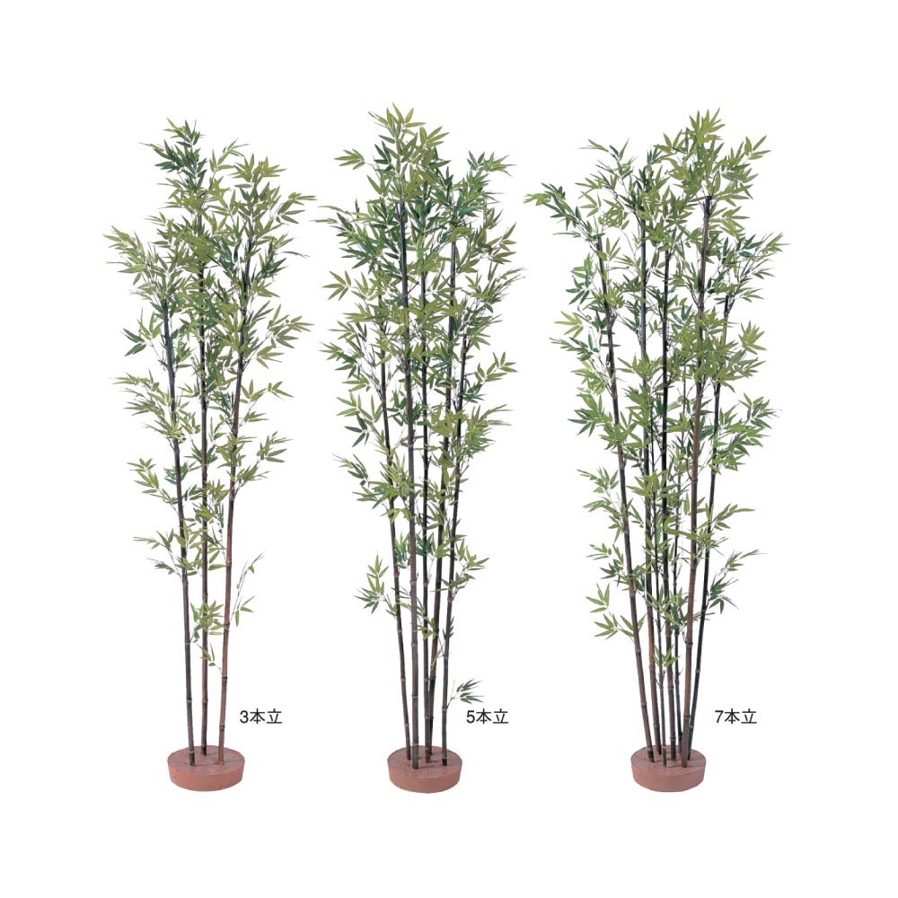 ディスプレイ用黒竹(でぃすぷれいようくろちく)