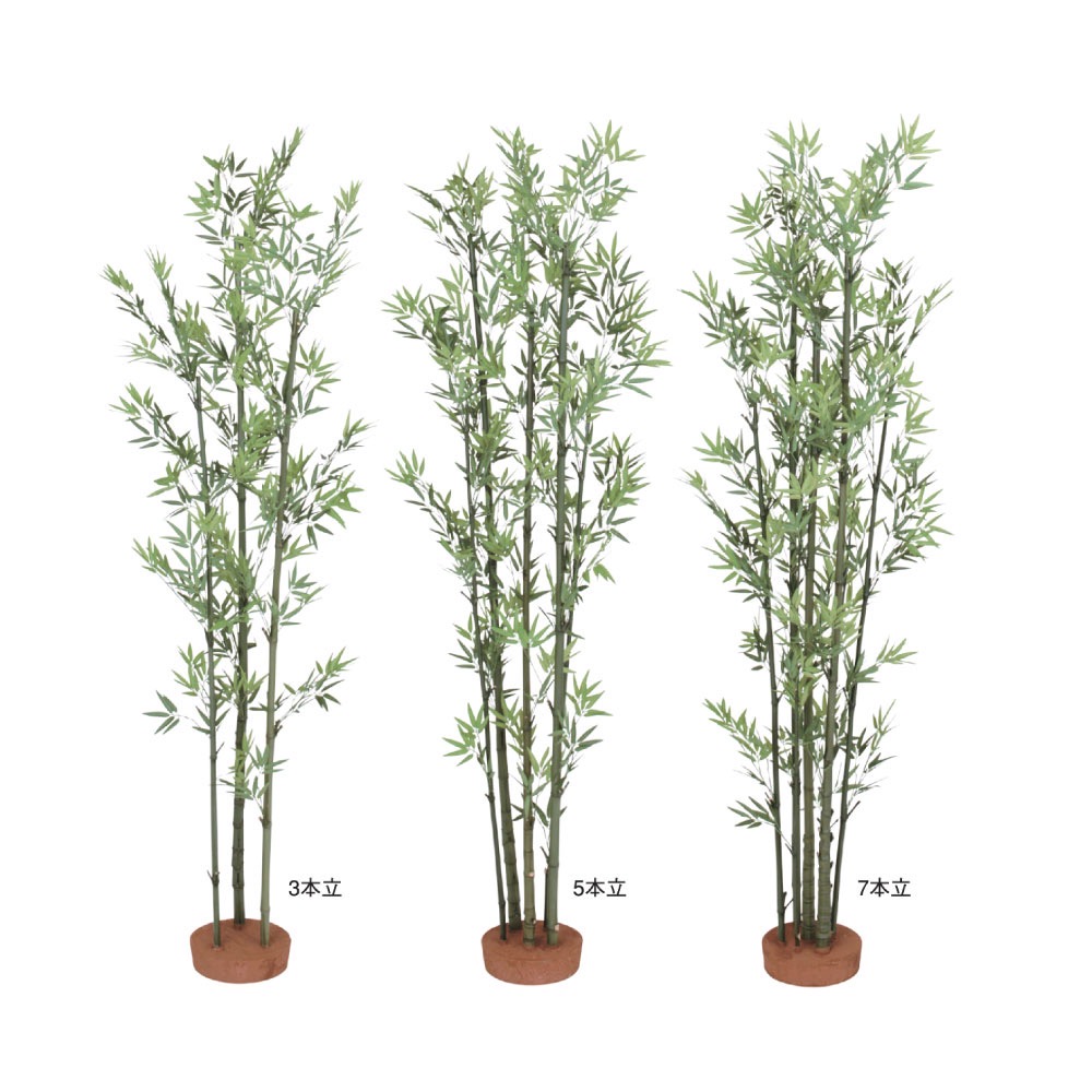 ディスプレイ用青竹(でぃすぷれいようあおだけ)