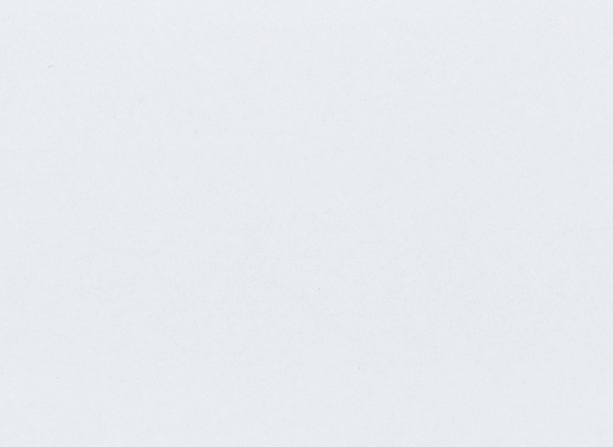 西ノ内紙（機械漉き）(にしのうちし きかいすき)