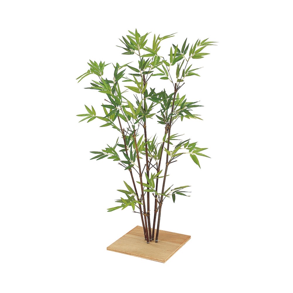 ディスプレイ用ミニ黒竹(でぃすぷれいようみにくろちく)