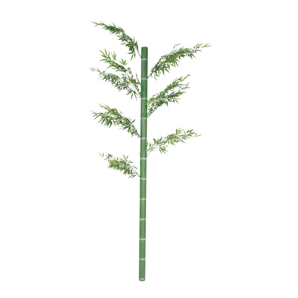 ディスプレイ用装飾アル銘竹 孟宗若竹・孟宗枯竹(でぃすぷれいようそうしょくあるめいちく もうそうわかだけ もうそうかれたけ)