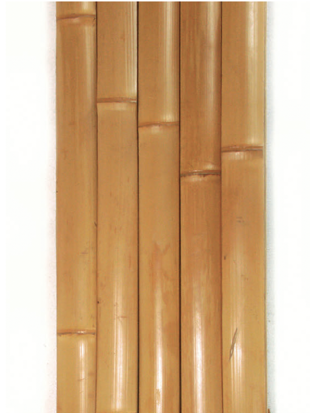 白竹真竹建仁寺材料(しらたけまだけんにんじざいりょう)